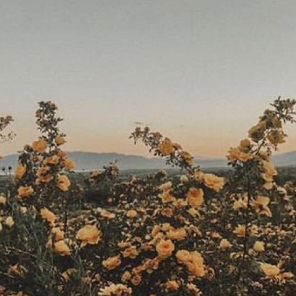 Meet your Posher, Simon